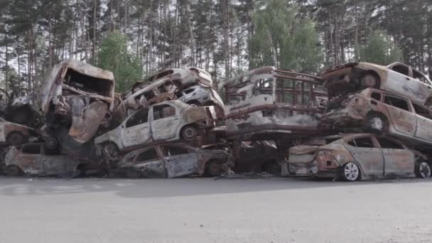 Dieses Archivvideo Zeigt Eine Müllkippe Aus Angeschossenen Und Verbrannten Autos — Stockvideo