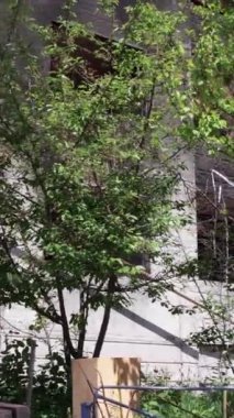 Bu borsa dikey videosu Ukrayna 'daki savaş sonrasını gösteriyor. Borodyanka' da yıkılan bir yerleşim yeri.