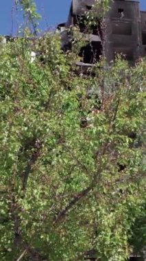 Bu borsa dikey videosu Ukrayna 'daki savaş sonrasını gösteriyor. Borodyanka' da yıkılan bir yerleşim yeri.