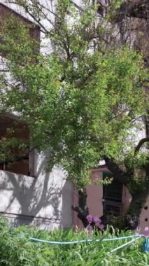 Bu borsa dikey videosu Ukrayna 'daki savaş sonrasını gösteriyor. Borodyanka' da yıkılan bir yerleşim yeri.