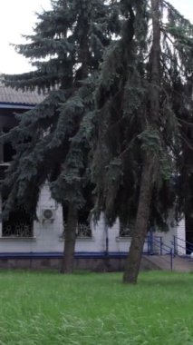 Bu dikey borsa videosu Ukrayna 'daki savaşın sonucunu gösteriyor. Borodyanka, Kyiv bölgesindeki polis karakolunun yıkılması ve yakılması.