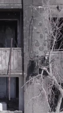 Bu dikey borsa videosu Ukrayna 'daki savaşın sonucunu gösteriyor. Borodyanka, Bucha bölgesindeki harap olmuş bir bina. Gri, renksiz, düz.