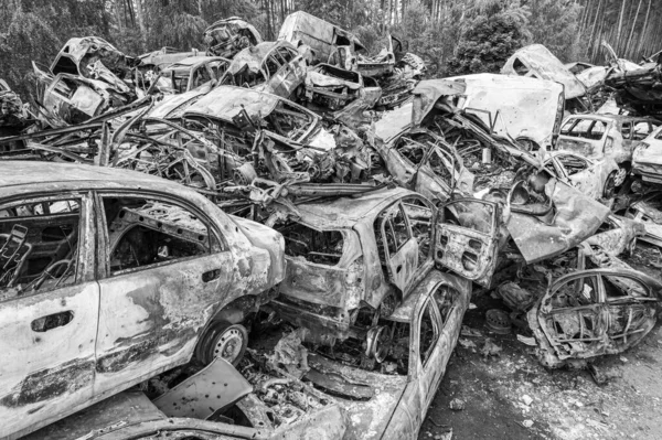 Bu siyah-beyaz fotoğraf Irpin, Bucha bölgesinde bir kurşun ve yanmış araba çöplüğünü gösteriyor.
