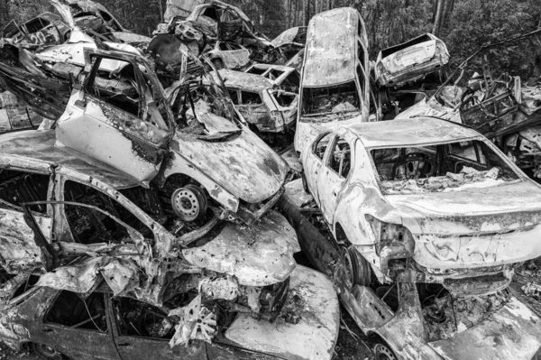 Bu siyah-beyaz fotoğraf Irpin, Bucha bölgesinde bir kurşun ve yanmış araba çöplüğünü gösteriyor.