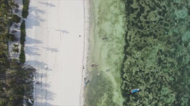 Bu video, Tanzanya 'nın Zanzibar adasındaki kumsalın 8K çözünürlüklü yavaş çekimini gösteriyor.