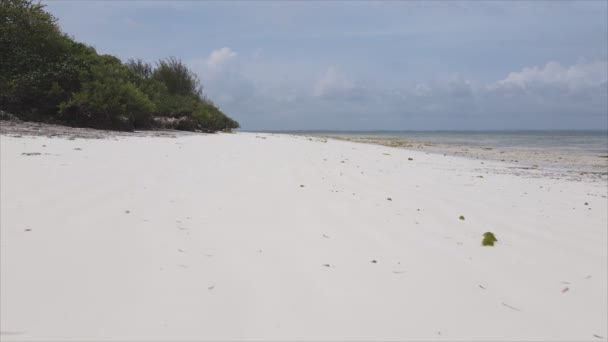 Видео Показывает Воздушный Вид Пляжа Острове Занзибар Танзания Замедленная Съемка — стоковое видео