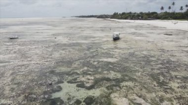 Bu video, Tanzanya 'nın Zanzibar adasındaki kumsalın 8K çözünürlüklü yavaş çekimini gösteriyor.