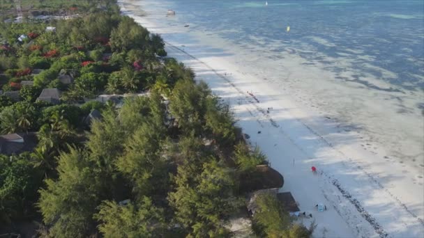 Stock Video Shows Aerial View Beach Zanzibar Island Tanzania Slow — Stockvideo