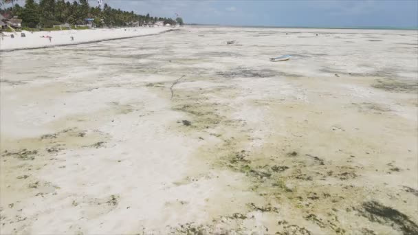 このストックビデオは ザンジバル島 タンザニア 8K解像度のスローモーションのビーチの空中ビューを示しています — ストック動画