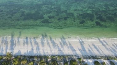 Bu video, Tanzanya 'nın Zanzibar adasındaki kumsalın 8K çözünürlüklü yavaş çekimini gösteriyor.