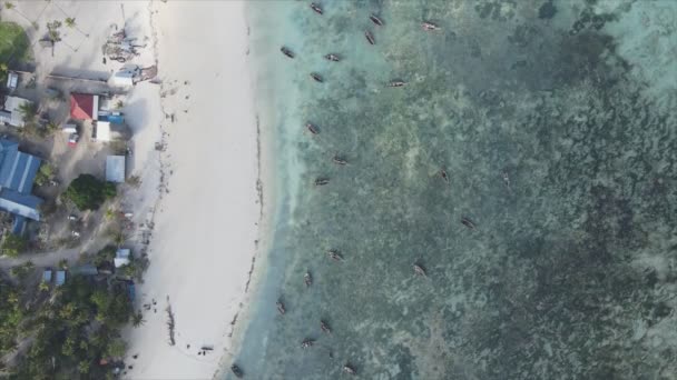 Stock Videó Bemutatja Légi Kilátás Nyílik Strandra Zanzibar Sziget Tanzánia — Stock videók