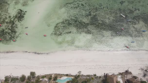 Dieses Archivvideo Zeigt Luftaufnahme Des Strandes Auf Der Insel Sansibar — Stockvideo