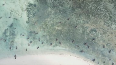 Bu video, Zanzibar açıklarında 8K çözünürlüklü yavaş çekim yapan tekneleri gösteriyor.