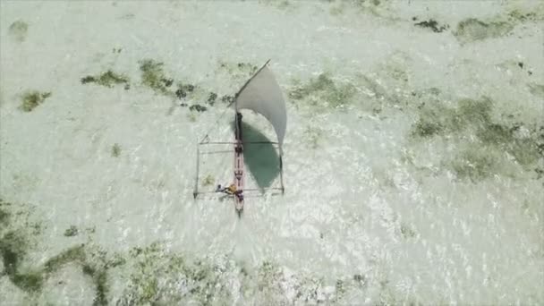 Αυτό Απόθεμα Βίντεο Δείχνει Βάρκες Στον Ωκεανό Στα Ανοικτά Των — Αρχείο Βίντεο