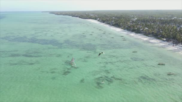 Stock Video Shows Boats Ocean Coast Zanzibar Slow Motion Resolution — Stock Video