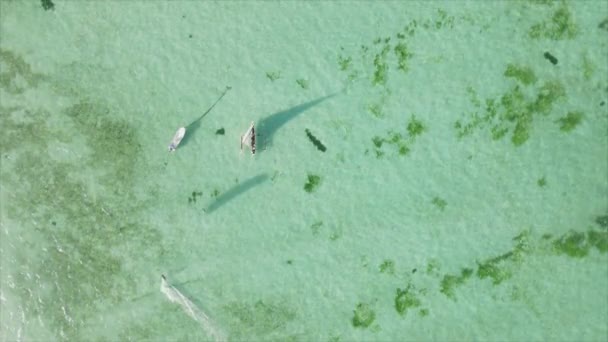 Cette Vidéo Montre Des Bateaux Dans Océan Large Des Côtes — Video