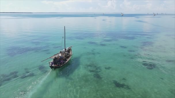 Toto Video Ukazuje Lodě Oceánu Pobřeží Zanzibaru Zpomalený Pohyb Rozlišení — Stock video