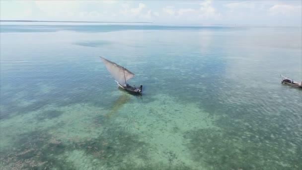 Stock Video Shows Boats Ocean Coast Zanzibar Slow Motion Resolution — Stockvideo