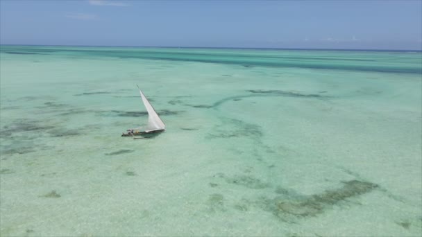Stock Video Shows Boats Ocean Coast Zanzibar Slow Motion Resolution — Stockvideo