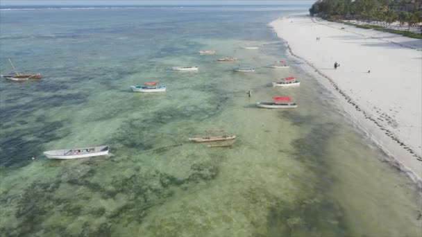 Stock Video Shows Boats Ocean Coast Zanzibar Slow Motion Resolution — Stock Video