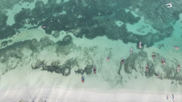 Denna Video Visar Båtar Havet Utanför Kusten Zanzibar Slow Motion — Stockvideo