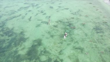 Bu video, Zanzibar açıklarında 8K çözünürlüklü yavaş çekim yapan tekneleri gösteriyor.
