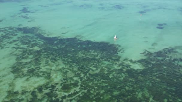 Este Video Muestra Barcos Océano Frente Costa Zanzíbar Cámara Lenta — Vídeos de Stock