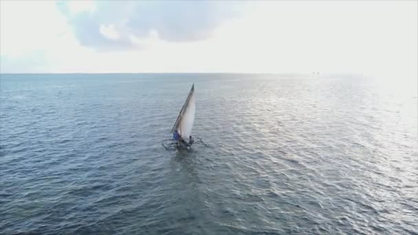Denne Videoen Viser Båter Havet Utenfor Kysten Zanzibar Sakte Bevegelse – stockvideo