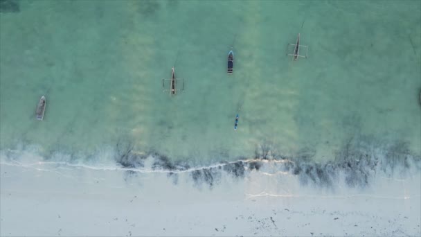 このストックビデオでは ザンジバル沖の海のボート 8K解像度のスローモーションを示しています — ストック動画