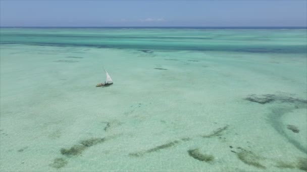 Este Video Muestra Barcos Océano Frente Costa Zanzíbar Cámara Lenta — Vídeo de stock