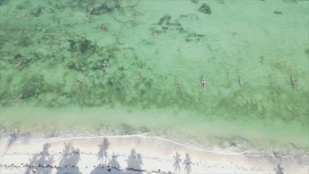 这个鱼群视频显示了桑给巴尔海岸外海面上的船只 以8K分辨率慢动作 — 图库视频影像