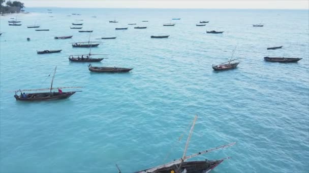 화면은 잔지바르 해안의 바다에 배들을 있습니다 해상도로 동작으로 — 비디오