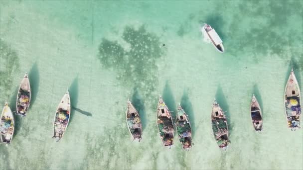 このストックビデオでは ザンジバル沖の海のボート 8K解像度のスローモーションを示しています — ストック動画