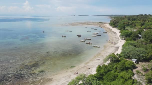 Video Zanzibar Açıklarında Çözünürlüklü Yavaş Çekim Yapan Tekneleri Gösteriyor — Stok video