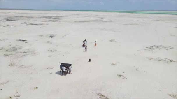 このストックフィルムは 8K解像度でタンザニアのザンジバル海岸沖の干潮時の音楽ビデオの撮影を示しています — ストック動画