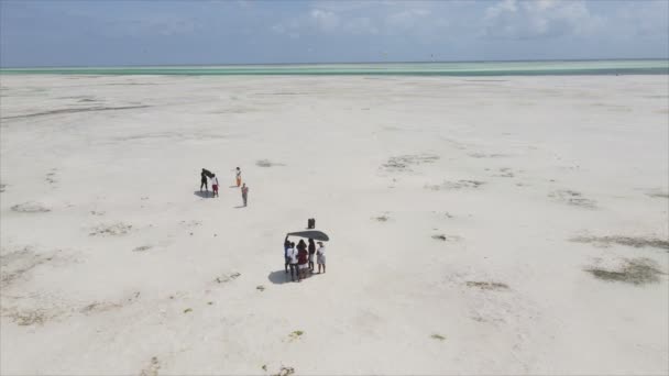 Nagranie Pokazuje Nagranie Teledysku Podczas Odpływu Oceanie Wybrzeży Zanzibaru Tanzanii — Wideo stockowe