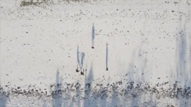Bu video, Tanzanya 'nın Zanzibar plajında futbol oynayan insanları gösteriyor, 8K çözünürlükte yavaş çekim.