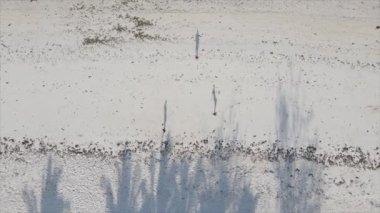 Bu video, Tanzanya 'nın Zanzibar plajında futbol oynayan insanları gösteriyor, 8K çözünürlükte yavaş çekim.