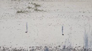Bu video, Tanzanya 'nın Zanzibar plajında futbol oynayan insanları gösteriyor, 8K çözünürlükte yavaş çekim.