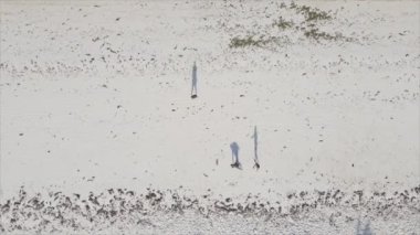 Bu video, Tanzanya 'nın Zanzibar plajında futbol oynayan insanları gösteriyor, 8K çözünürlükte yavaş çekim.