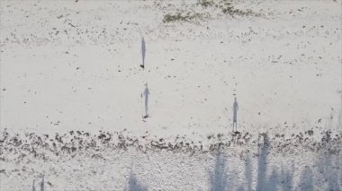 Bu video, Tanzanya 'nın Zanzibar plajında futbol oynayan insanları gösteriyor, 8K çözünürlükte yavaş çekim.