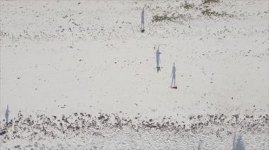 Bu video, Tanzanya 'nın Zanzibar plajında futbol oynayan insanları gösteriyor, 8K çözünürlükte yavaş çekim.