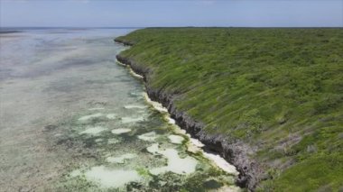Bu stok videosu Tanzanya 'nın Zanzibar adasının 8K çözünürlüğündeki çalılıklarla kaplı hava görüntülerini gösteriyor.