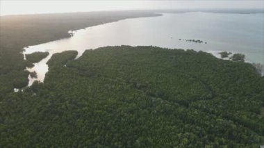 Bu stok videosu Tanzanya 'nın Zanzibar adasının 8K çözünürlüğündeki çalılıklarla kaplı hava görüntülerini gösteriyor.