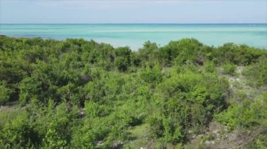 Bu stok videosu Tanzanya 'nın Zanzibar adasının 8K çözünürlüğündeki çalılıklarla kaplı hava görüntülerini gösteriyor.