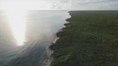Bu stok videosu Tanzanya 'nın Zanzibar adasının 8K çözünürlüğündeki çalılıklarla kaplı hava görüntülerini gösteriyor.