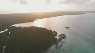 Bu stok videosu Tanzanya 'nın Zanzibar adasının 8K çözünürlüğündeki çalılıklarla kaplı hava görüntülerini gösteriyor.