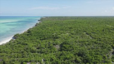 Bu stok videosu Tanzanya 'nın Zanzibar adasının 8K çözünürlüğündeki çalılıklarla kaplı hava görüntülerini gösteriyor.