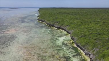 Bu stok videosu Tanzanya 'nın Zanzibar adasının 8K çözünürlüğündeki çalılıklarla kaplı hava görüntülerini gösteriyor.