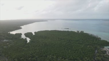 Bu stok videosu Tanzanya 'nın Zanzibar adasının 8K çözünürlüğündeki çalılıklarla kaplı hava görüntülerini gösteriyor.